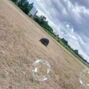 ヒメ日記 2025/07/18 10:03 投稿 るな SOAPLAND LOVE FACTORY