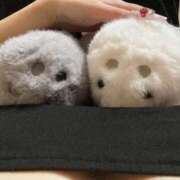 ヒメ日記 2025/09/12 05:42 投稿 るな SOAPLAND LOVE FACTORY