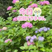 はるな お休みしています😭 姫コレクション(千葉)