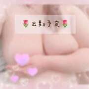 ヒメ日記 2026/03/17 20:30 投稿 りな 大阪ぽっちゃりマニア 十三店