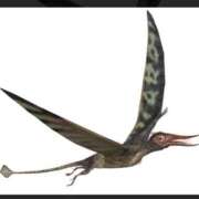 ヒメ日記 2025/11/21 20:06 投稿 深山 すず 制服×コスプレ アオハルスイッチ