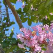 ヒメ日記 2025/08/02 12:09 投稿 あいり 錦糸町人妻セレブリティ（ユメオト）