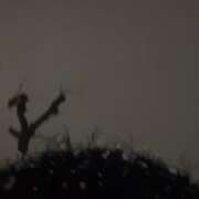 ヒメ日記 2026/01/20 09:07 投稿 ネム バニーコレクション秋田店