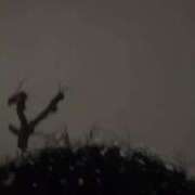 ヒメ日記 2026/01/20 09:14 投稿 ネム バニーコレクション秋田店