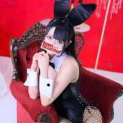 ネム 気づいた？ バニーコレクション秋田店