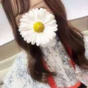 ヒメ日記 2025/11/24 11:33 投稿 くみ 高級エステ セラピスト