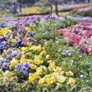 ヒメ日記 2025/06/08 10:22 投稿 なのは 君とふわふわプリンセスin立川