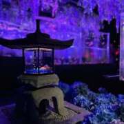 ヒメ日記 2025/12/08 20:42 投稿 なのは 君とふわふわプリンセスin立川