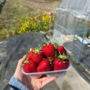ヒメ日記 2026/03/09 15:51 投稿 みか しゃぼんくらぶ一番館