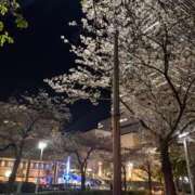 ヒメ日記 2026/04/11 16:04 投稿 みか しゃぼんくらぶ一番館