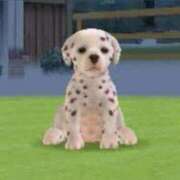 キュアりりちゃん 💧🥺🥲😢😔😣😫😭🥺💧😭😭😭😭 男爵