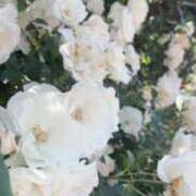 ヒメ日記 2025/06/10 09:22 投稿 ここ 横浜プラチナ（ユメオト）