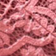 ヒメ日記 2025/09/28 10:48 投稿 生田目（なばため） 西川口デッドボール