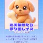 ヒメ日記 2026/01/14 12:20 投稿 アヤ バニーコレクション千葉栄町店