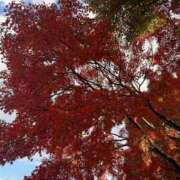 ヒメ日記 2025/12/04 03:55 投稿 さなえ シルクハット