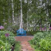 さなえ 早起き シルクハット