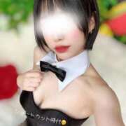 ヒメ日記 2025/06/14 08:01 投稿 木村るみ 多恋人倶楽部