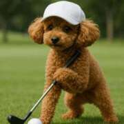 ヒメ日記 2025/07/17 19:07 投稿 ことの セレブコレクション赤坂