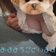 ヒメ日記 2025/08/07 11:17 投稿 りょう 人妻熟女の秘密の関係伊勢崎店