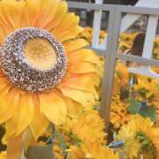 ヒメ日記 2025/09/05 21:25 投稿 ふわり non-non 神田(ノンノン神田)