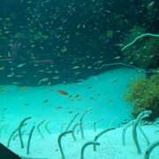 ヒメ日記 2025/09/15 20:19 投稿 ふわり non-non 神田(ノンノン神田)