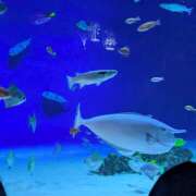 ヒメ日記 2025/09/28 02:02 投稿 ふわり non-non 神田(ノンノン神田)