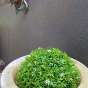 ひろ ウィルアーバンのO様✨️ 東京メンズボディクリニック TMBC 立川店