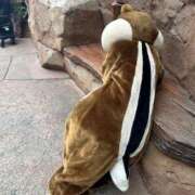 せりな はぁ… チューリップ福井本館