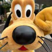 せりな 😭😭😭 チューリップ福井別館