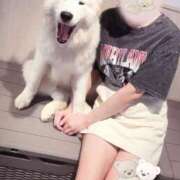 ヒメ日記 2025/08/12 12:18 投稿 川澄理央 お姉さんCLUB