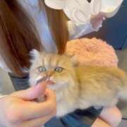 ヒメ日記 2025/09/09 20:03 投稿 川澄理央 お姉さんCLUB