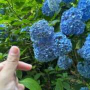 ヒメ日記 2025/06/18 20:51 投稿 さゆり 上野ハイブリッドマッサージ