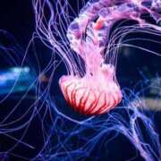 ヒメ日記 2025/07/20 12:48 投稿 さゆり 上野ハイブリッドマッサージ