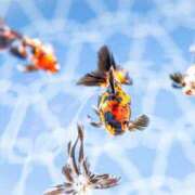 ヒメ日記 2025/08/05 04:48 投稿 さゆり 上野ハイブリッドマッサージ