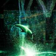 ヒメ日記 2025/08/16 08:09 投稿 さゆり 上野ハイブリッドマッサージ