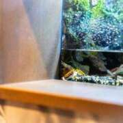 ヒメ日記 2025/08/29 10:58 投稿 さゆり 上野ハイブリッドマッサージ