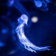 ヒメ日記 2025/09/05 11:44 投稿 さゆり 上野ハイブリッドマッサージ