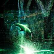 ヒメ日記 2025/09/15 23:41 投稿 さゆり 上野ハイブリッドマッサージ