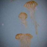 ヒメ日記 2025/10/09 22:38 投稿 さゆり 上野ハイブリッドマッサージ