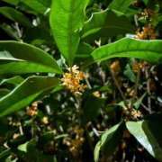 ヒメ日記 2025/10/11 08:08 投稿 さゆり 上野ハイブリッドマッサージ