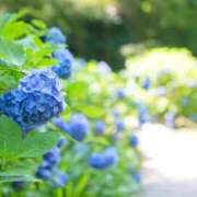 ヒメ日記 2025/10/24 06:38 投稿 さゆり 上野ハイブリッドマッサージ