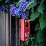 ヒメ日記 2025/06/24 18:38 投稿 さゆり 品川ハイブリッドマッサージ