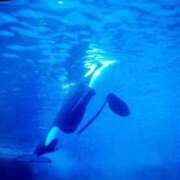 ヒメ日記 2025/07/19 13:00 投稿 さゆり 品川ハイブリッドマッサージ