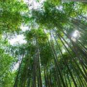 ヒメ日記 2025/09/23 08:08 投稿 さゆり 品川ハイブリッドマッサージ