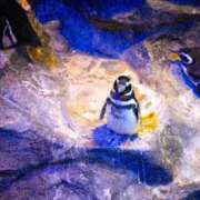 ヒメ日記 2025/10/15 06:18 投稿 さゆり 品川ハイブリッドマッサージ