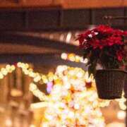 ヒメ日記 2025/11/02 23:08 投稿 さゆり 品川ハイブリッドマッサージ