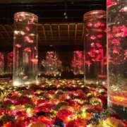 ヒメ日記 2026/02/12 18:11 投稿 さゆり 品川ハイブリッドマッサージ