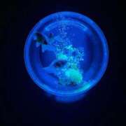 ヒメ日記 2026/02/13 03:58 投稿 さゆり 品川ハイブリッドマッサージ