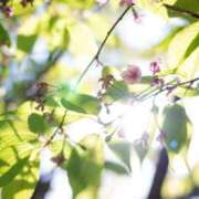 ヒメ日記 2026/03/27 05:58 投稿 さゆり 品川ハイブリッドマッサージ