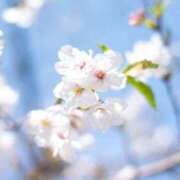 ヒメ日記 2026/03/31 22:28 投稿 さゆり 品川ハイブリッドマッサージ